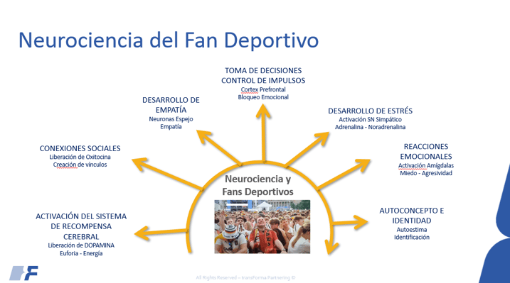 Neurociencia del fan deportivo